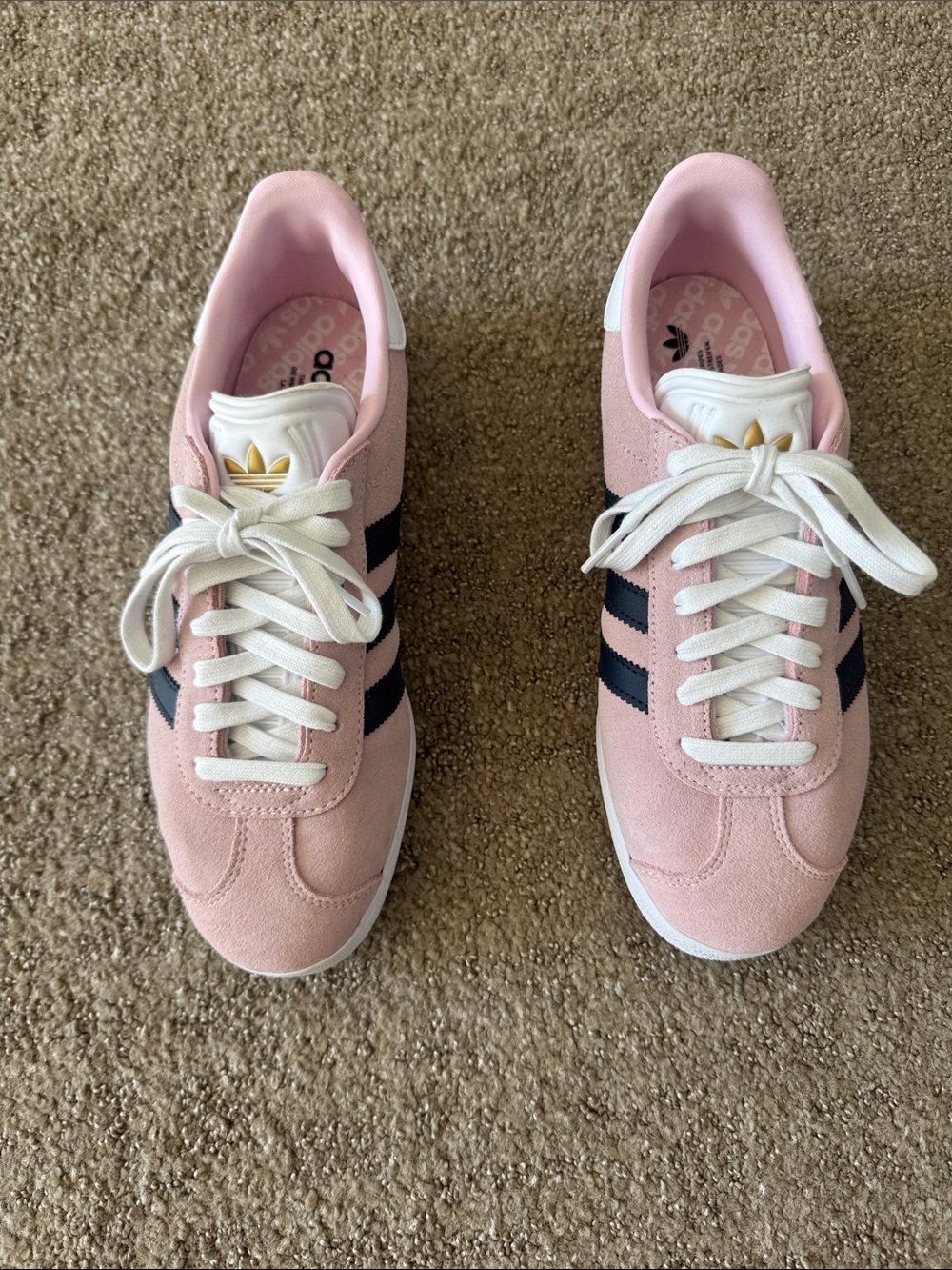 Adidas Gazelle Golf shoes NEW